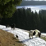Gospodarstwo agroturystyczne Schlintl-hof Liebenfels
