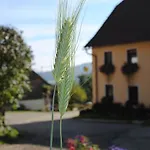Schlintl-hof