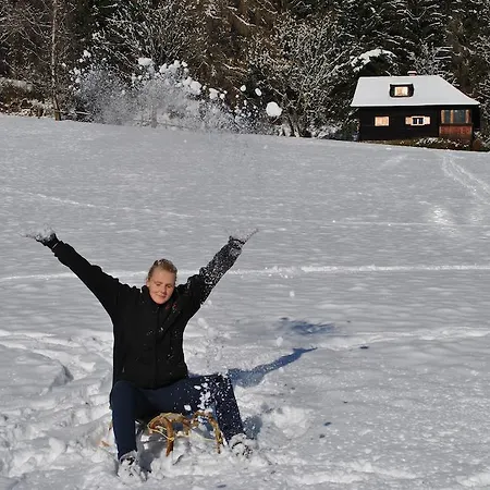 مزرعة للإقامة Schlintl-hof *