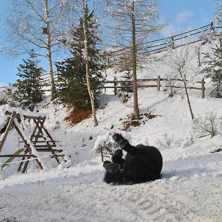 مزرعة للإقامة Schlintl-hof