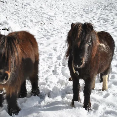 مزرعة للإقامة Schlintl-hof *