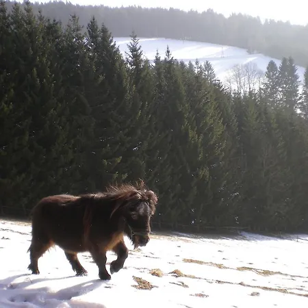 مزرعة للإقامة Schlintl-hof *