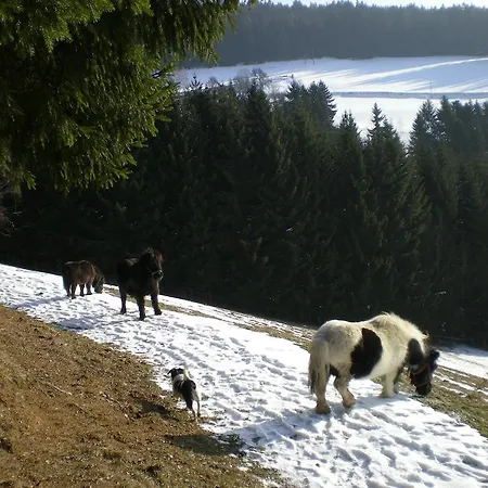 Farm stay Schlintl-hof Liebenfels