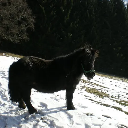 مزرعة للإقامة Schlintl-hof *