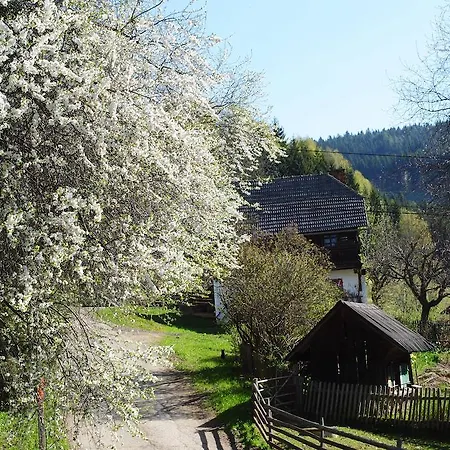 مزرعة للإقامة Schlintl-hof *