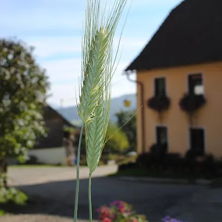 Schlintl-hof