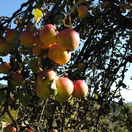 Farm stay Schlintl-hof Liebenfels