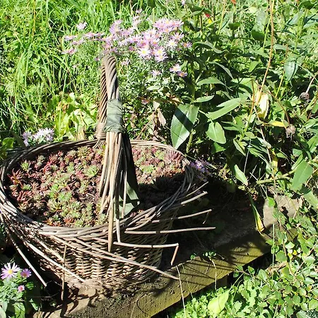 مزرعة للإقامة Schlintl-hof Liebenfels