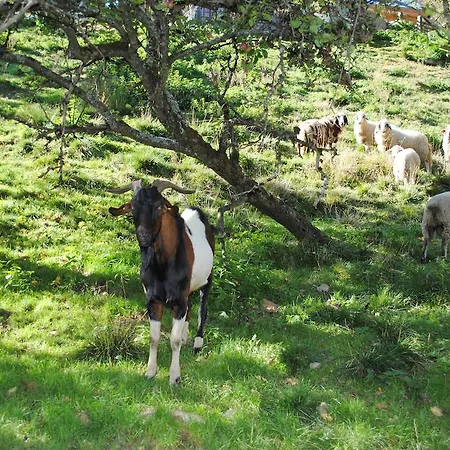 Farm stay Schlintl-hof Liebenfels