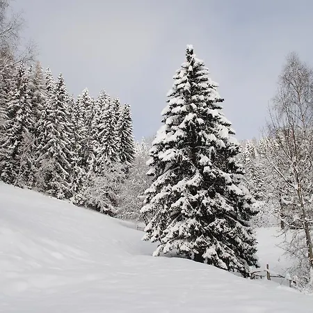 Schlintl-hof Liebenfels
