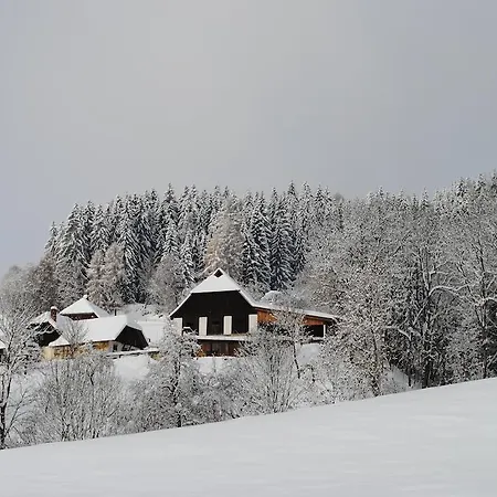 ファームステイ Schlintl-hof Liebenfels