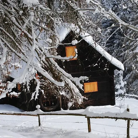 مزرعة للإقامة Schlintl-hof *