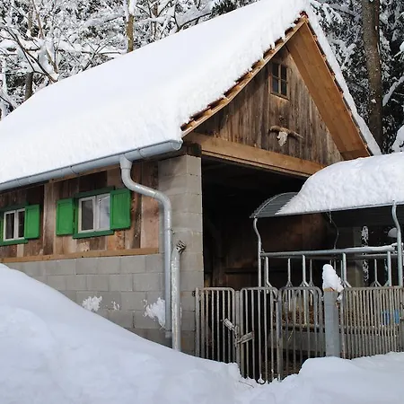 Farm stay Schlintl-hof Liebenfels