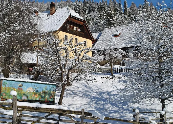 Schlintl-hof Liebenfels