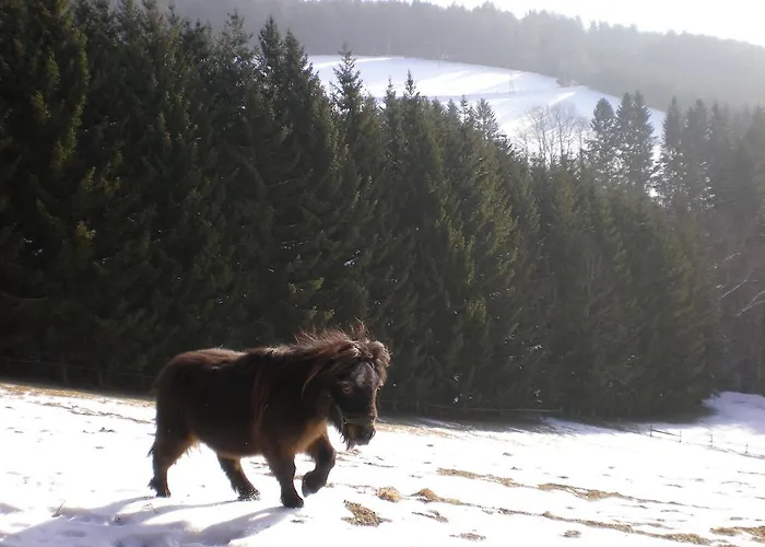 Farma Schlintl-hof *