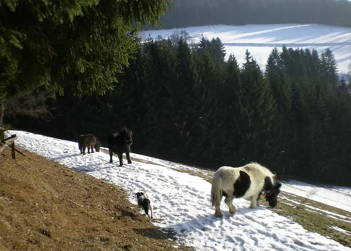 Farma Schlintl-hof Liebenfels