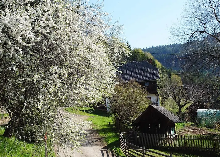 Farma Schlintl-hof *