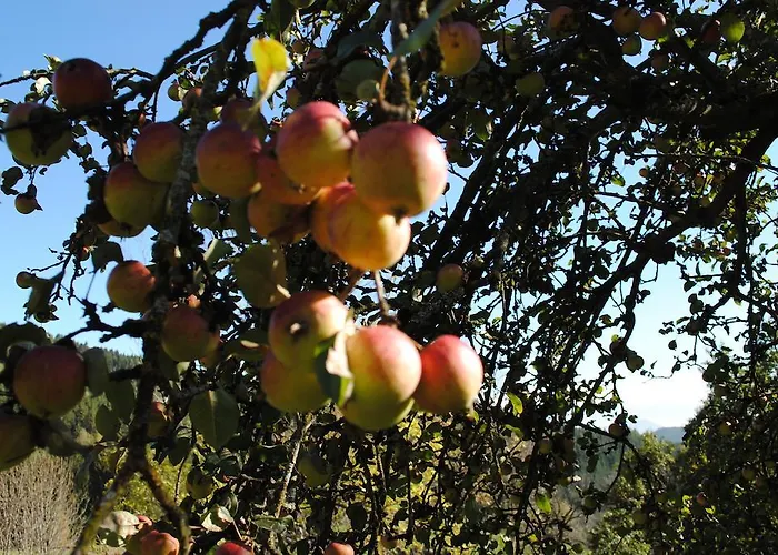 Farma Schlintl-hof Liebenfels