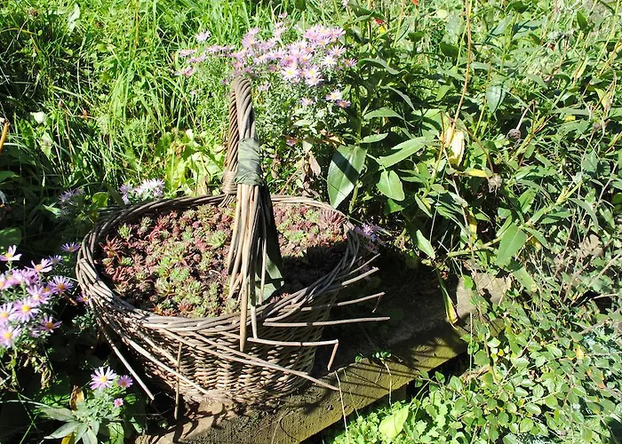 Farma Schlintl-hof Liebenfels