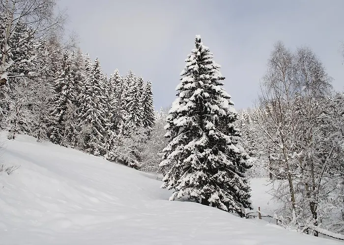 Schlintl-hof Liebenfels