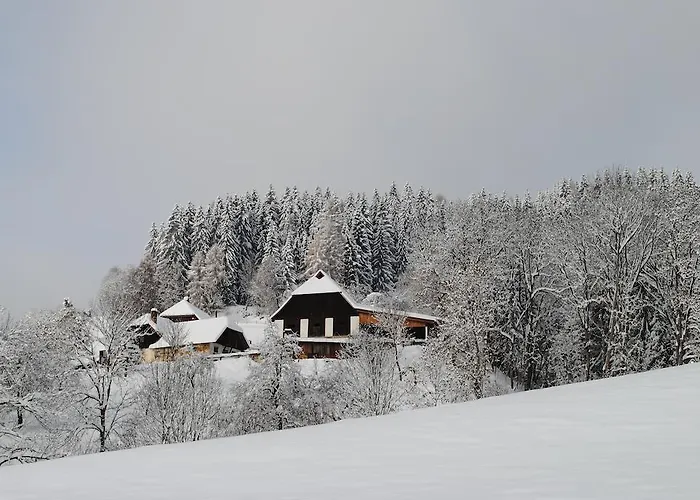 Farma Schlintl-hof Liebenfels